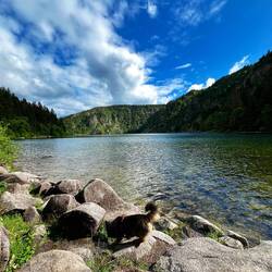 Lac Blanc