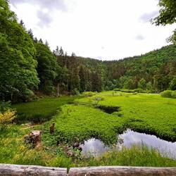 Etang Devin