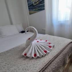 When we got back to our room there was a swan on our bed.