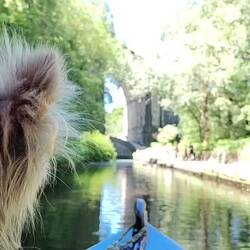 Approaching Saddleworth Viaduct