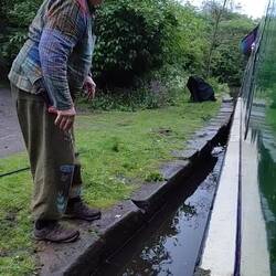 A bit of happiness. The Great Goose Rescue! It had got trapped between Rainboat and the bank 😊