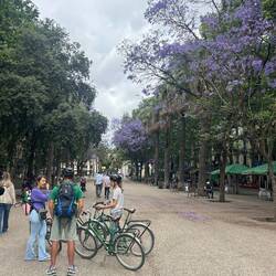 Auf dem Barcelona Raval