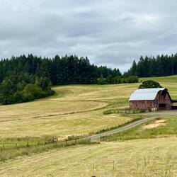 Near Eugene