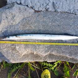 .. da 65 cm!!! 💪💪💪