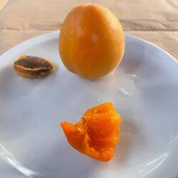 zum Nachtisch gab's eine Marille (Prunus armeniaca), hab ich auch im Garten, sehr lecker