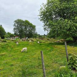 spaziergang umgebung camping