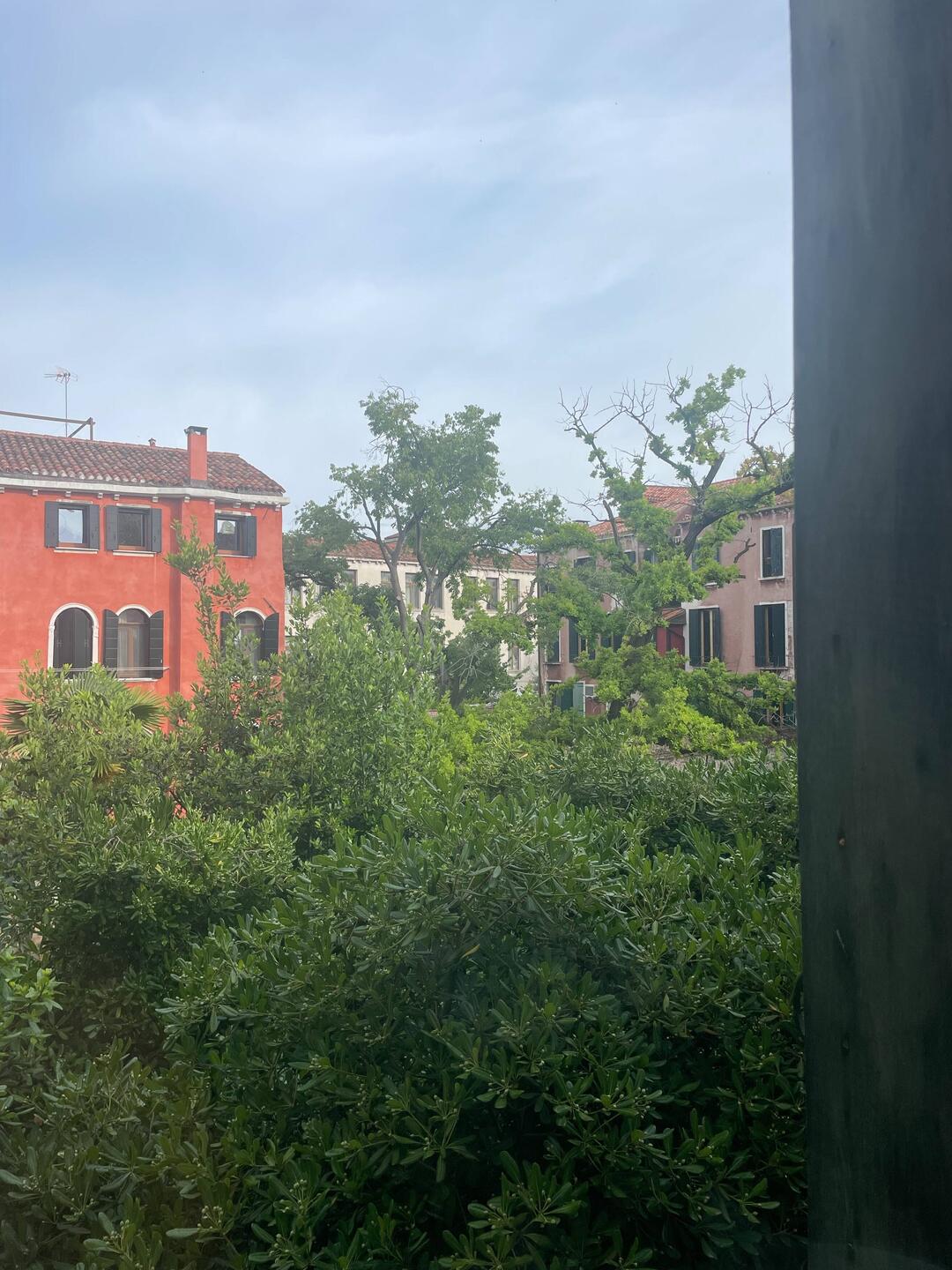 View out our bathroom window
