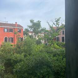 View out our bathroom window