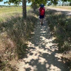 White path, shade, and a breeze -- pretty good last 3 miles.