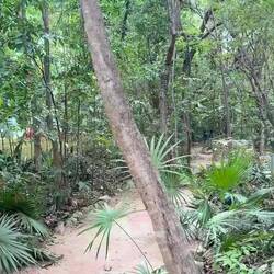 Parque la Ceiba