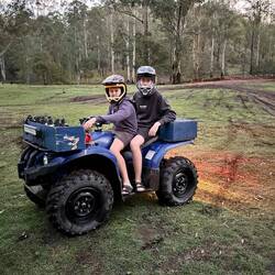 Quad Life