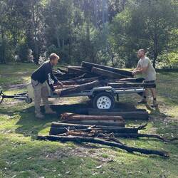 Plenty of Wood