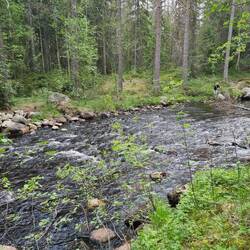 Wir waren bereits drüben, während die anderen immer noch versuchten über den Baum zu balancieren
