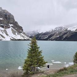 Bow Lake