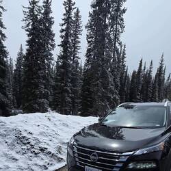 Am Parkplatz zum Peyto Lake