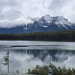 Herbert Lake