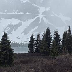 Crow Glacier im Hintergrund
