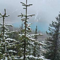 Leider liegt der Peyto Lake im Nebel zunächst