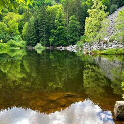 Lac Fischboedle