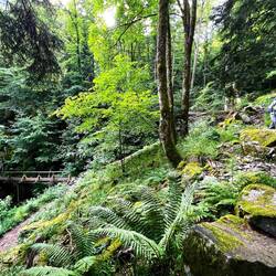 In der Klamm