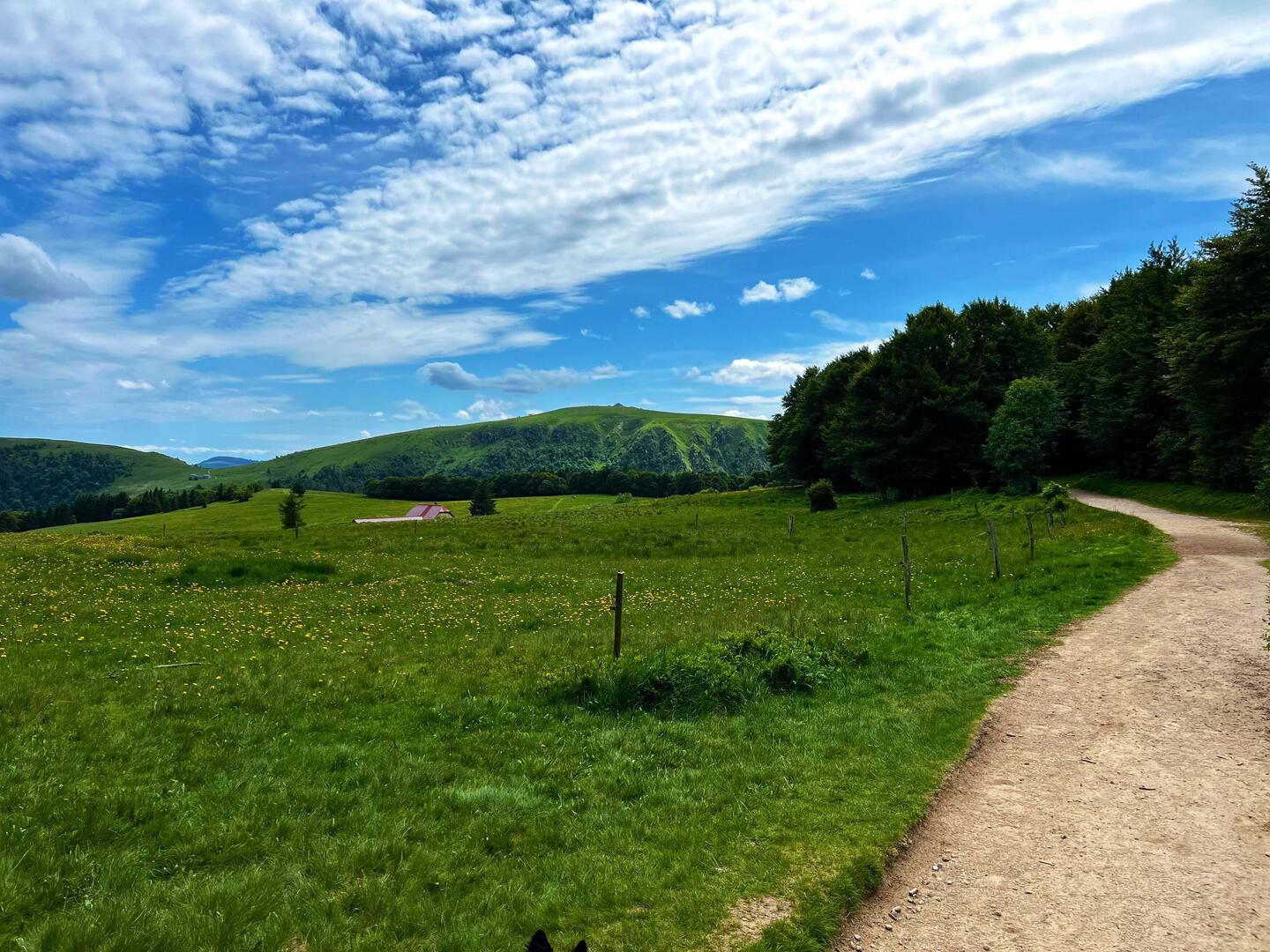 Gemütlich aufwärts, den Hoheneck im Blick