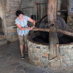 Making olive oil