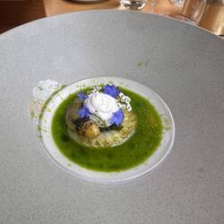 Vorspeise mit fermentierten Spargel