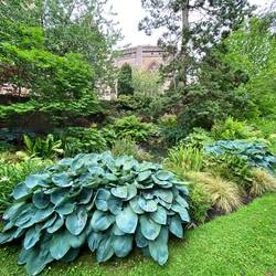 The Bishops palace gardens