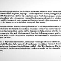 The Delaunays & their role in reshaping modern art ... LASM — Bayraklı, İzmir.