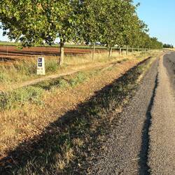 I chose the road thinking it would be easier on my feet. It was not.