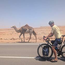Hier trottet das Kamel vor Arved weg 😛