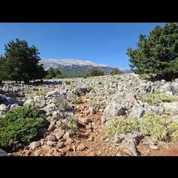 Vidéo-diaporama fin de la vadrouille par le plateau d'Aradena