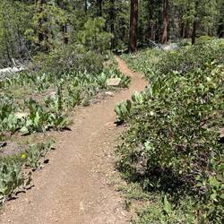 Further into the hike