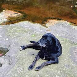 Unser spontaner Begleiter