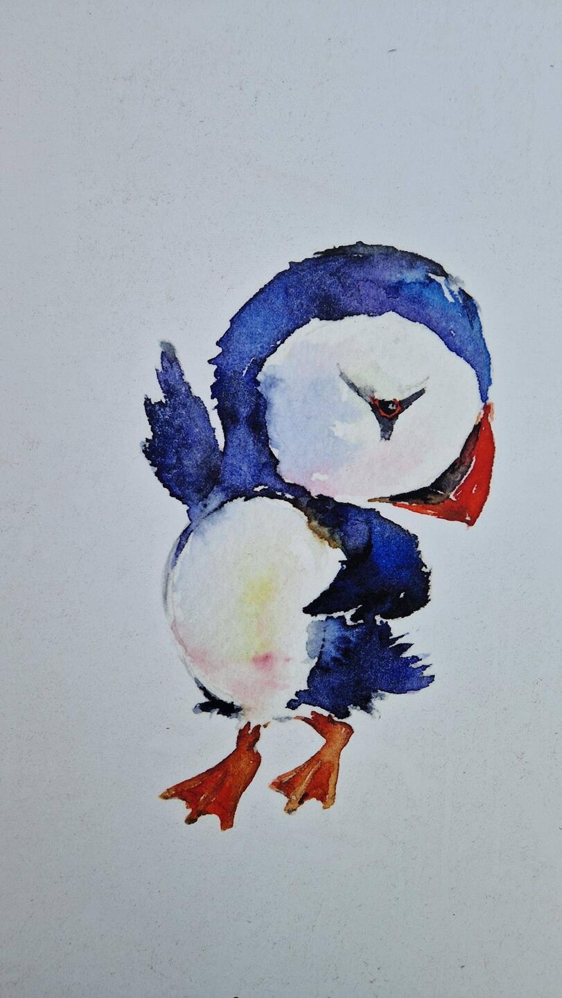 Der tanzende Puffin