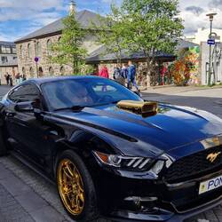 Pony
