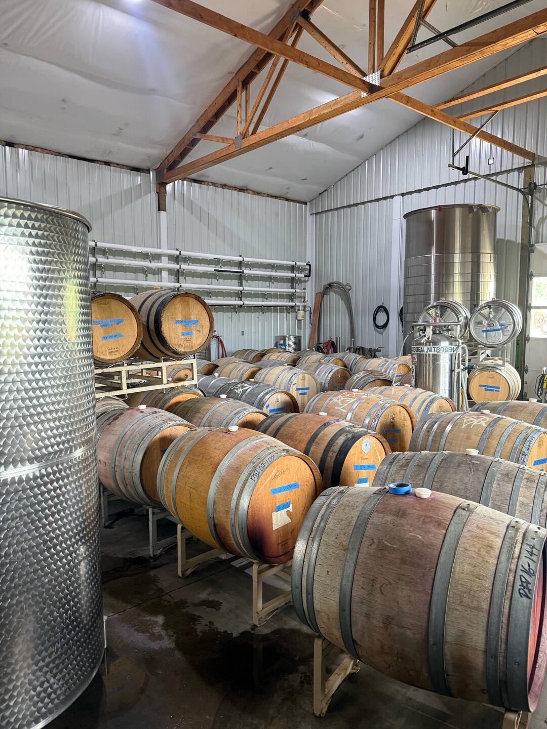Dominio IV Wines: tasting right from the barrel!