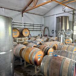 Dominio IV Wines: tasting right from the barrel!