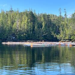 In Allison Harbour, this cove had a log boom tied across the cove entrance.