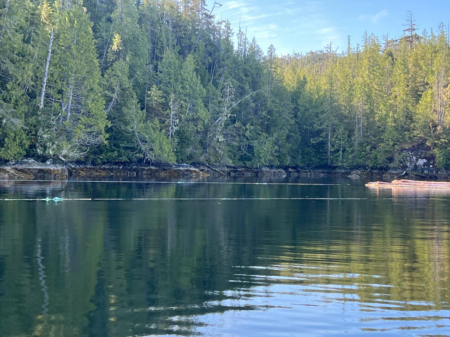 In Allison Harbour, this cove had a log boom tied across the cove entrance.