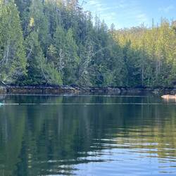 In Allison Harbour, this cove had a log boom tied across the cove entrance.