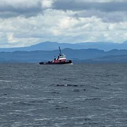 The Tug North Arm Wave