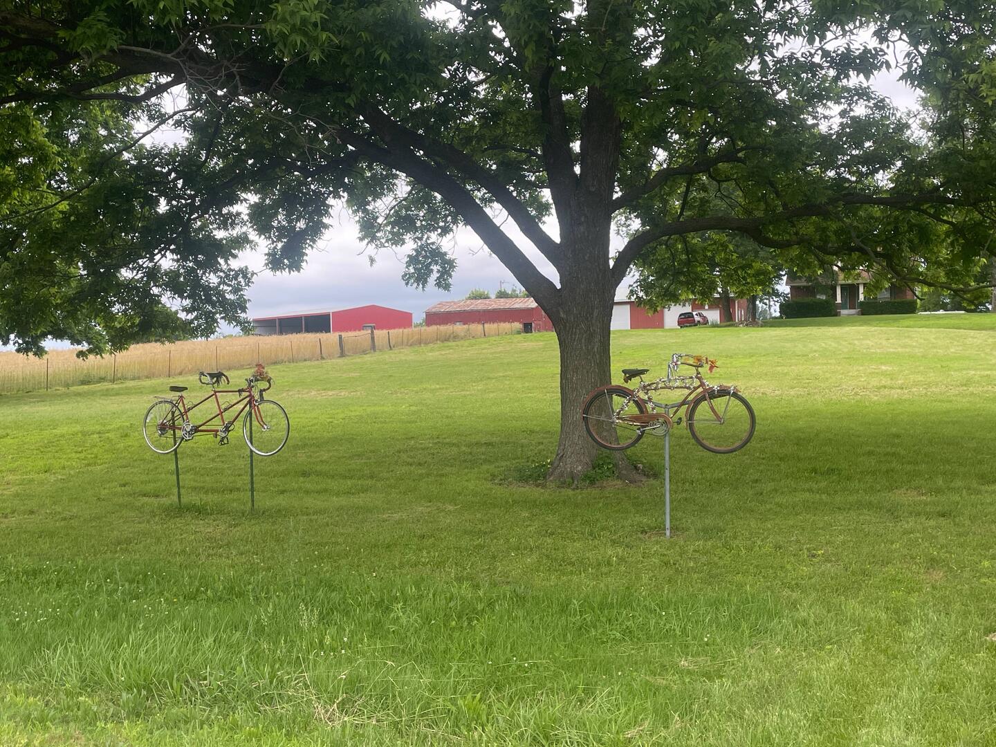 Bike-centric lawn displays