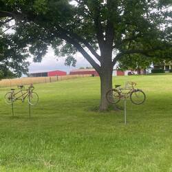 Bike-centric lawn displays
