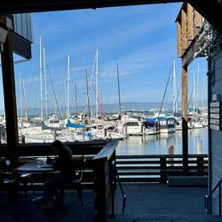 Pier 39 serenity