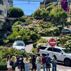 Lombard Street. The crooked street