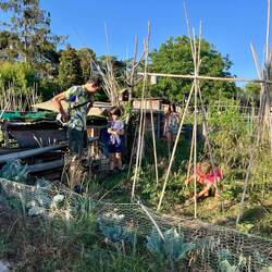 Un tour au jardin