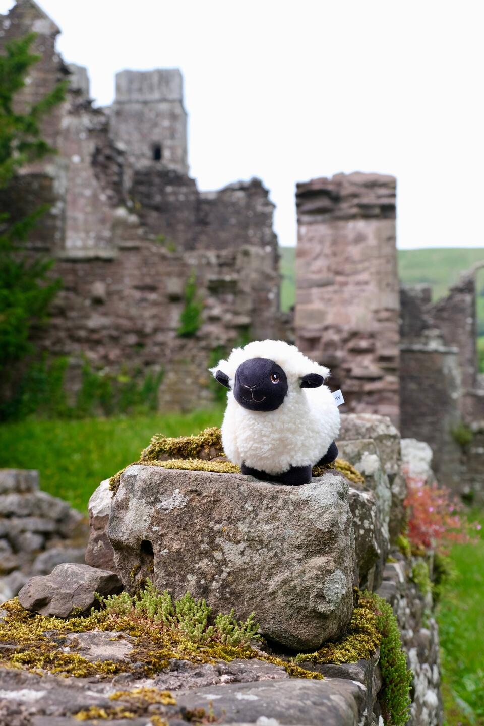 Unser Reisemaskottchen Lucky
