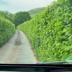 Hinter uns ist noch ein Auto und bei dem vor uns auch noch ein weiteres🙈