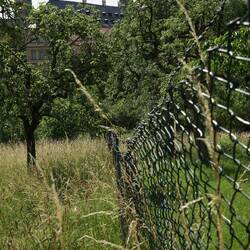 Ein Blick hinüber zum Dom